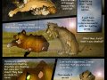 Taka_Comic_30_part_3_by_Savu0211.jpg